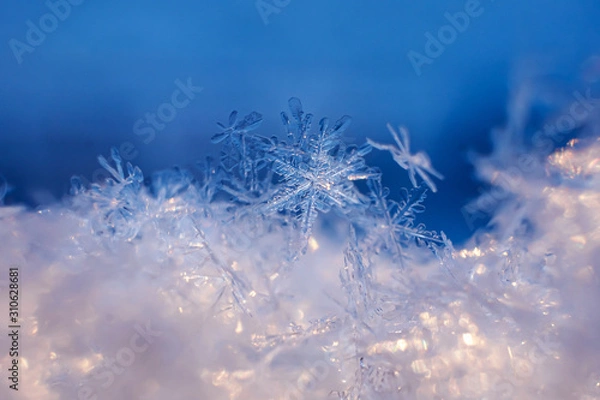 Fototapeta Snowflakes close-up. Macro photo. The concept of winter, cold, beauty of nature. Copy space..