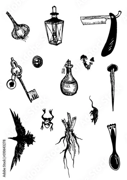 Fototapeta Old things vector illustration hand drawing isolated objects set