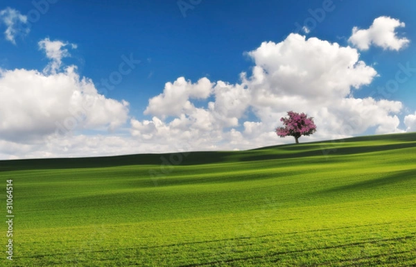 Obraz Spring in the fields