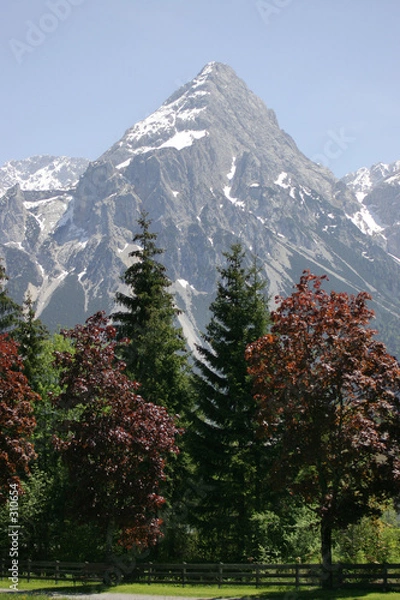 Fototapeta alpine trees and mountain
