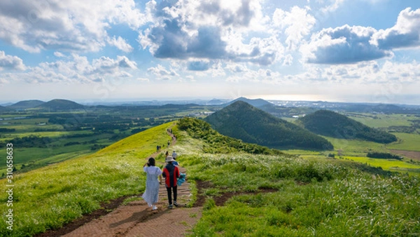 Obraz 새별오름 풍경