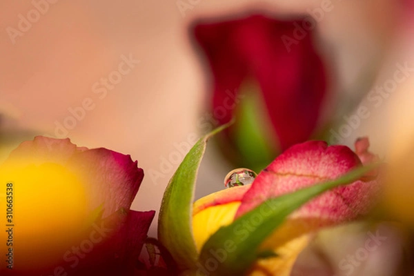 Obraz Pour le reflet d'une imagination...!