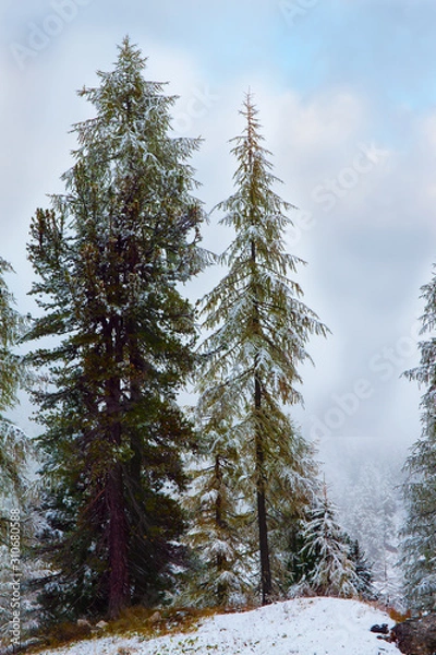 Obraz The first snow. Giau Pass