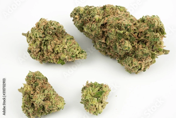 Fototapeta Close up marijuana buds isolated on white background