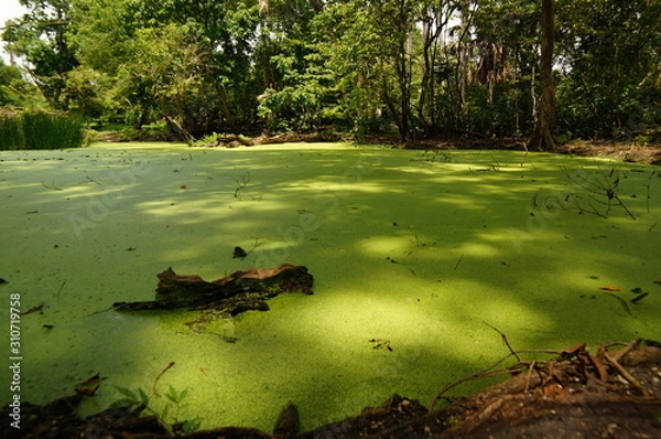Fototapeta lakes in the dry season with water discharge that tends to start to recede