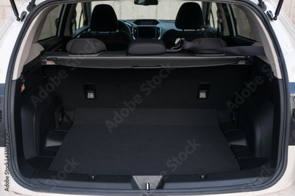 Obraz Empty opened car trunk
