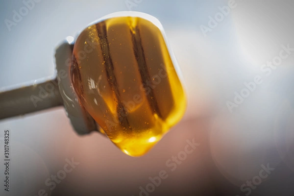 Obraz Honey Drip