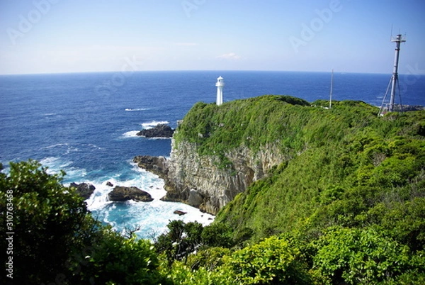 Obraz 足摺岬からの眺望