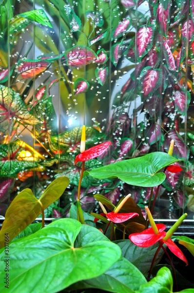 Obraz flamingo flower wall