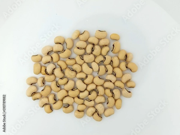 Obraz White beans isolated on white background