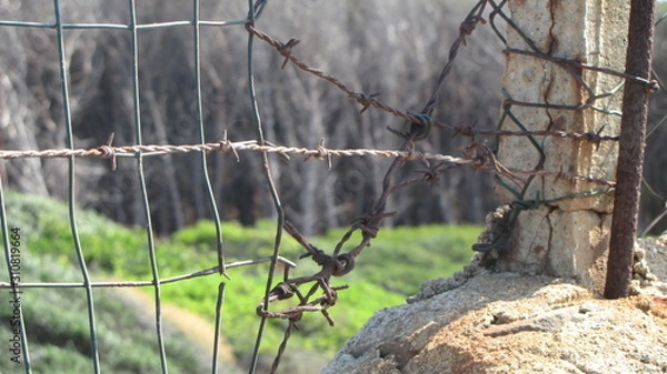 Obraz Stary płot z drutu kolczastego