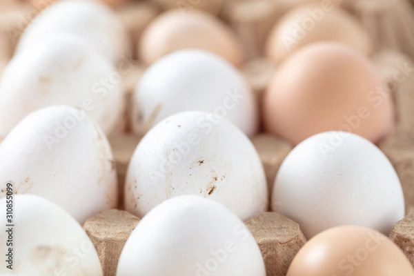 Obraz Fresh chicken eggs in industrial mud as a background