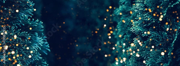 Obraz Web-banner with coniferous branch and a nice place for text. Blue color. Theme of nature, the advent of winter, Christmas holidays.