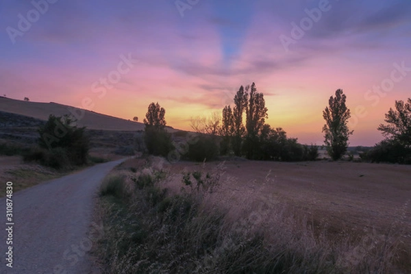 Fototapeta 산티아고 순례길_산솔가는 길 풍경