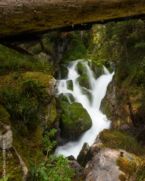 Obraz Mystischer Bachlauf im Wald