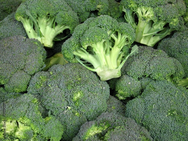 Fototapeta broccoli
