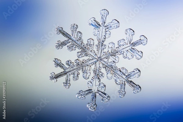 Fototapeta snowflake on white background
