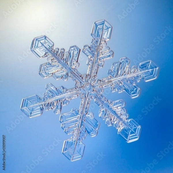 Obraz christmas background with snowflakes