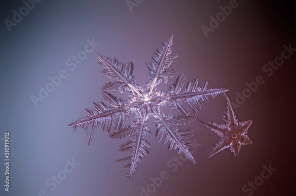 Fototapeta snowflake on black background