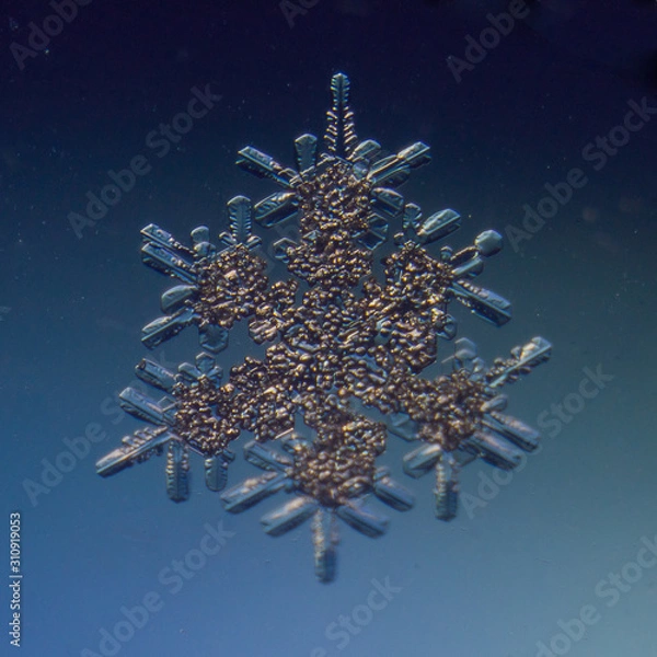 Fototapeta snowflake on white background