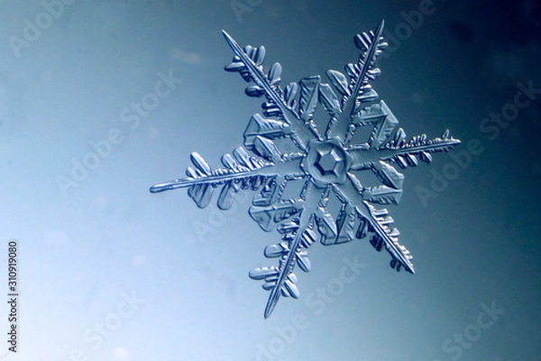 Obraz snowflake on black background