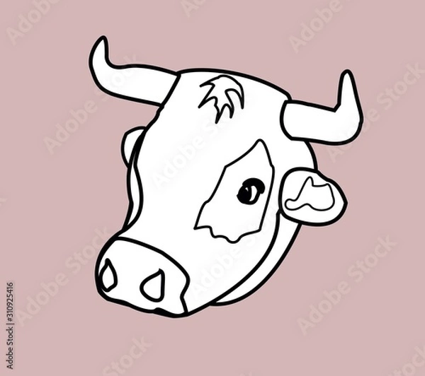 Obraz cow icon.cow face logo.vector image.