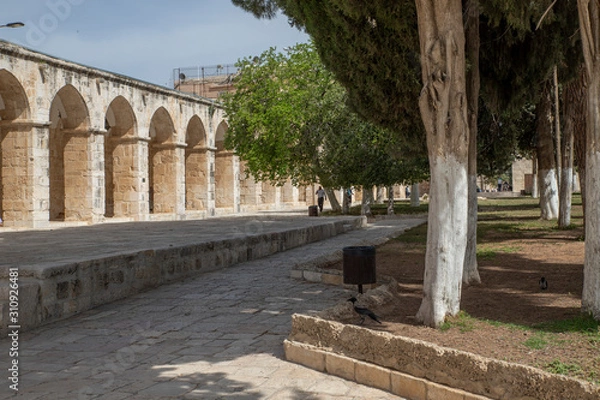 Obraz Gerusalemme 12