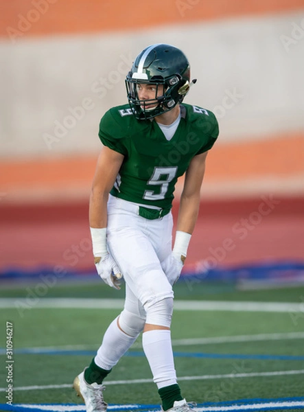 Fototapeta Action photos of football players making amazing plays during a football game