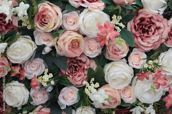 Fototapeta Colorful beauty pink and white roses backdrop for Valentines day wedding concept background texture