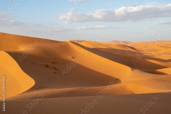 Fototapeta Erg Chebbi