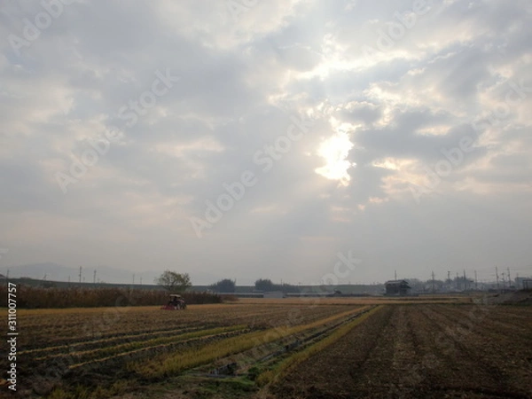 Obraz 日本の風景