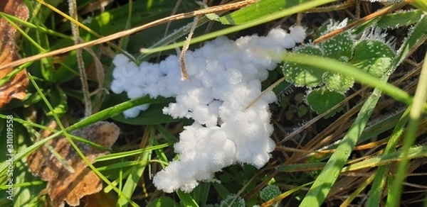Fototapeta styroporkugeln eis