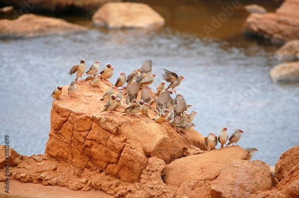 Fototapeta Lądowisko