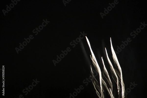 Obraz fireworks at night