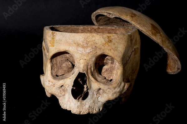 Obraz skull on black background