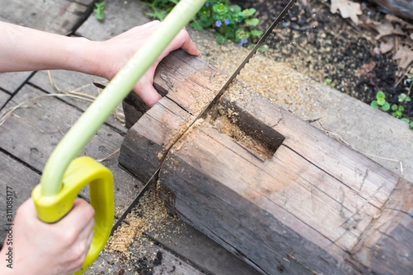 Fototapeta man sawing a tree with a hand saw.