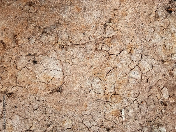 Obraz The ground has cracks in the top view for the background