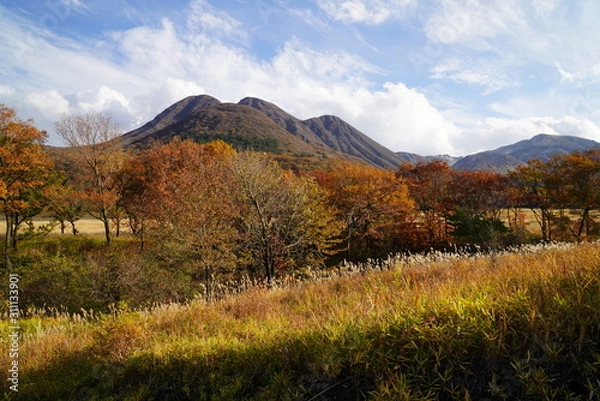 Obraz タデ原湿原　紅葉　大分県玖珠郡九重町