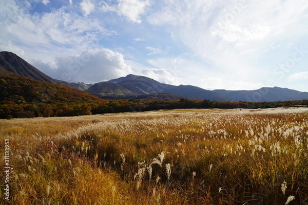 Obraz タデ原湿原　紅葉　大分県玖珠郡九重町