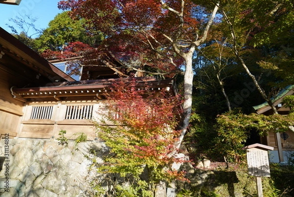 Obraz 竈神社　紅葉　太宰府市