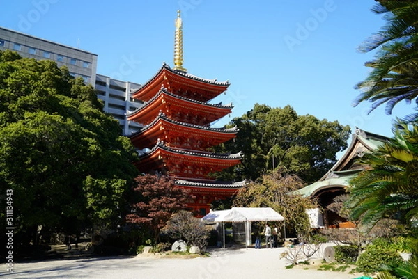 Obraz 東長寺　紅葉　福岡市博多区