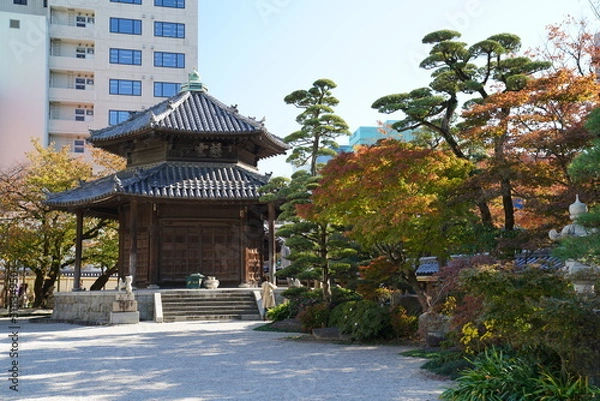 Obraz 東長寺　紅葉　福岡市博多区