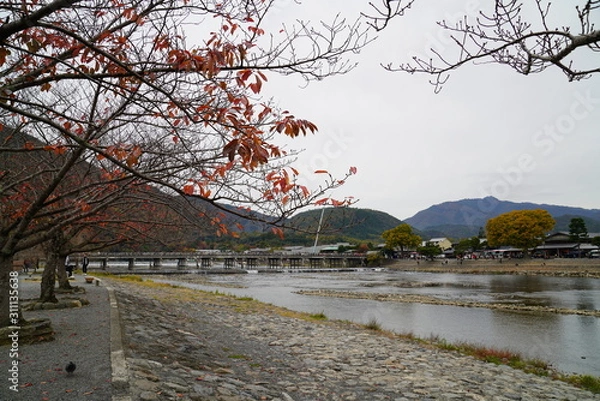 Obraz 渡月橋（嵐山）の紅葉　京都