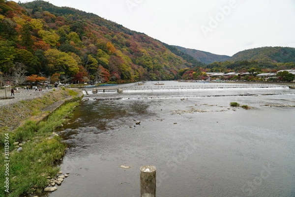 Obraz 渡月橋（嵐山）の紅葉　京都
