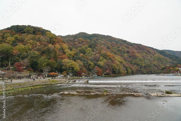 Obraz 渡月橋（嵐山）の紅葉　京都