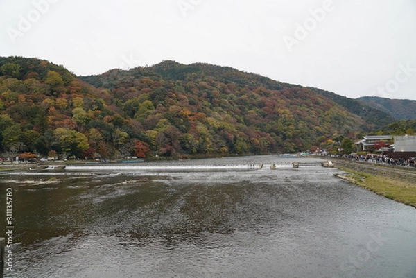 Obraz 渡月橋（嵐山）の紅葉　京都