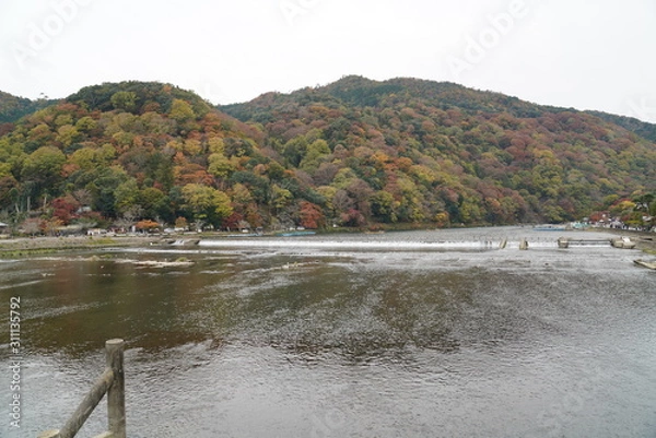 Obraz 渡月橋（嵐山）の紅葉　京都