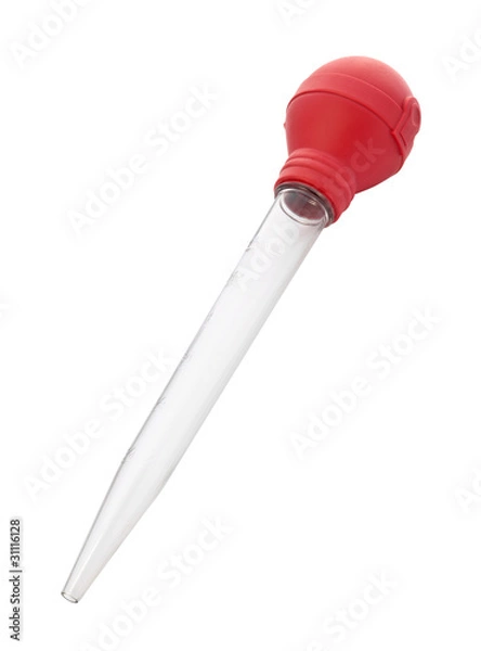 Obraz Turkey Baster (clipping path)