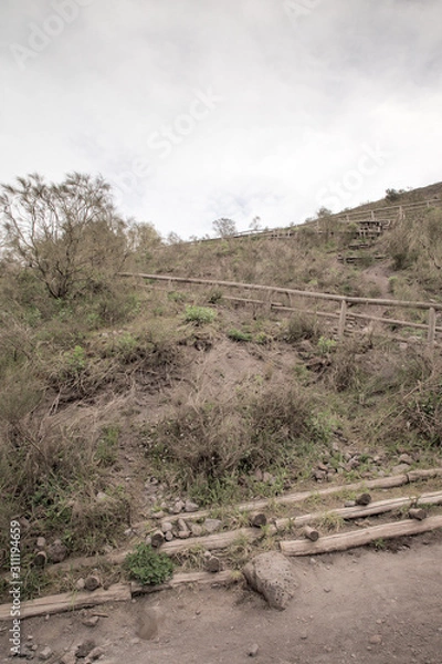 Fototapeta all the way to the top