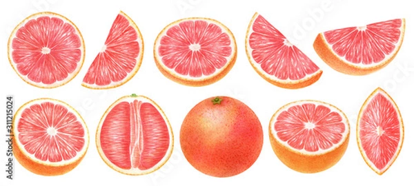 Fototapeta Grapefruit whole, half, slice, cut isolated on white background.Top view, side view exotic citrus. Halthy food digital clip art.Watercolor illustration.